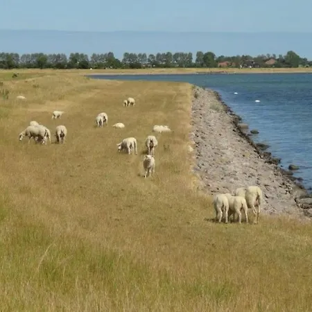 Orther Reede, Fehmarn-orth Апартаменты *
